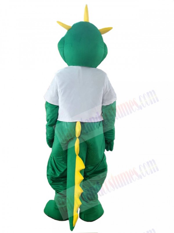 Dragon mascot costum
