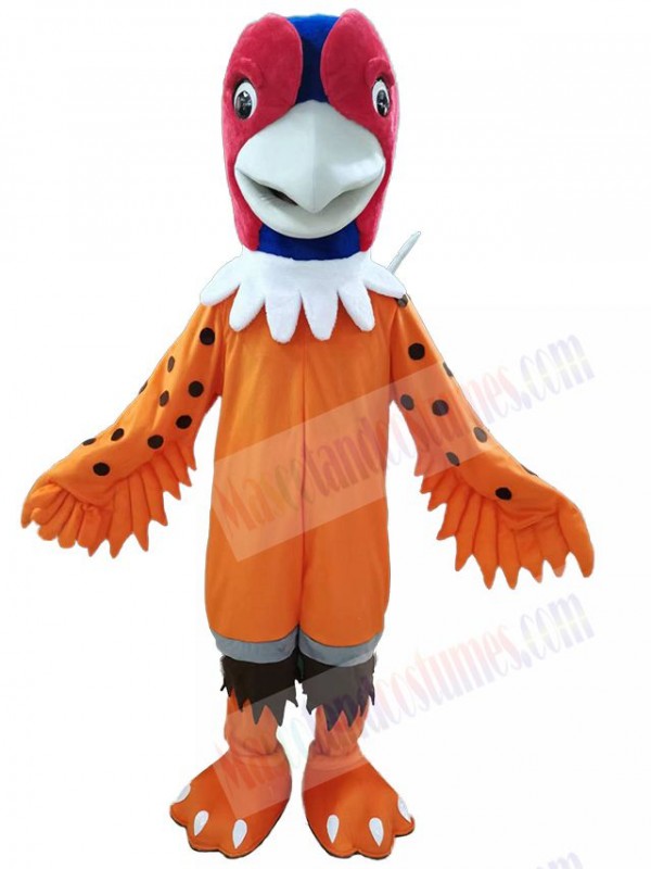 Pheasant mascot costume