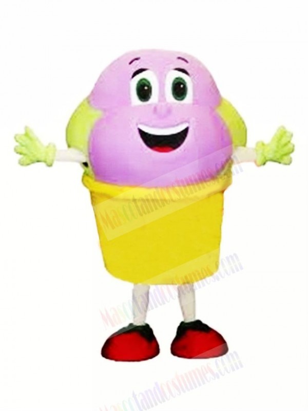 Cute Ice Cream Mascot Costume Cartoon