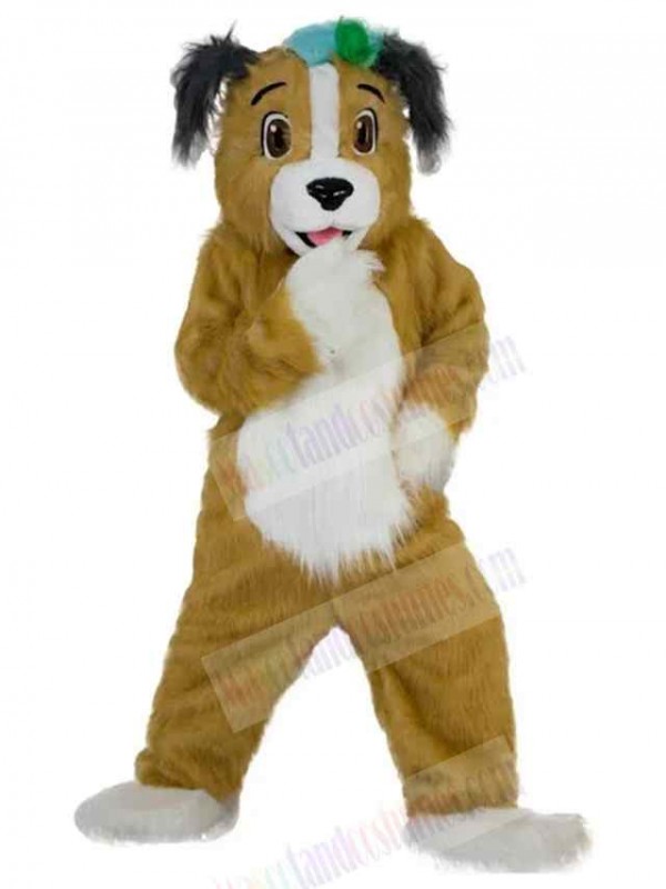 Dog mascot costume