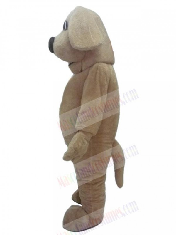 Dog mascot costume