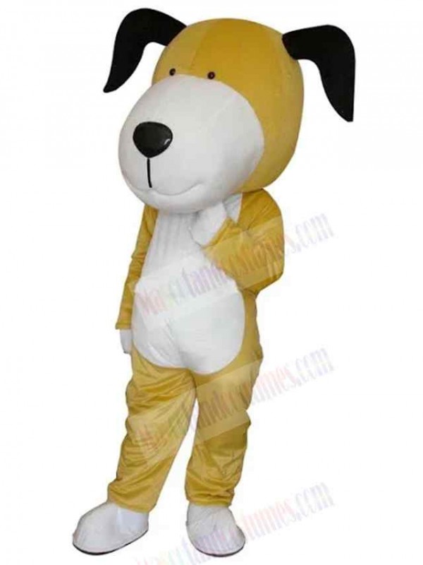 Dog mascot costume
