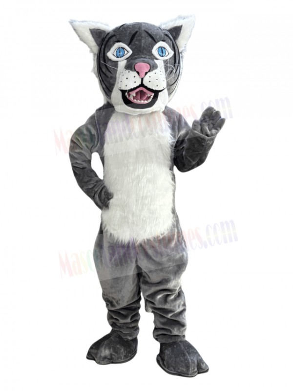 Wildcat mascot costume