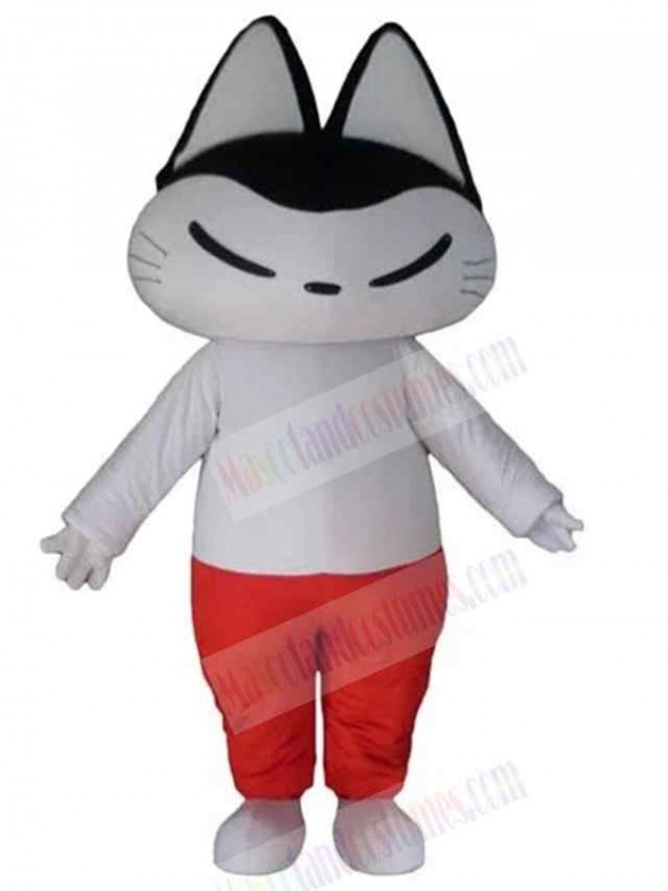 Cat mascot costume
