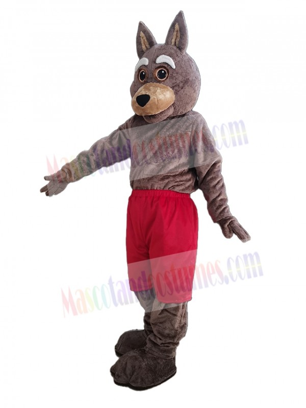 Coyote mascot costume