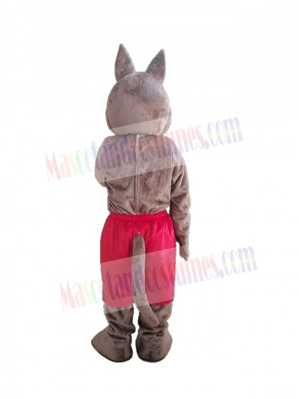Coyote mascot costume