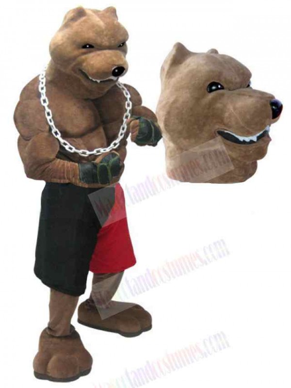 Wolf mascot costume