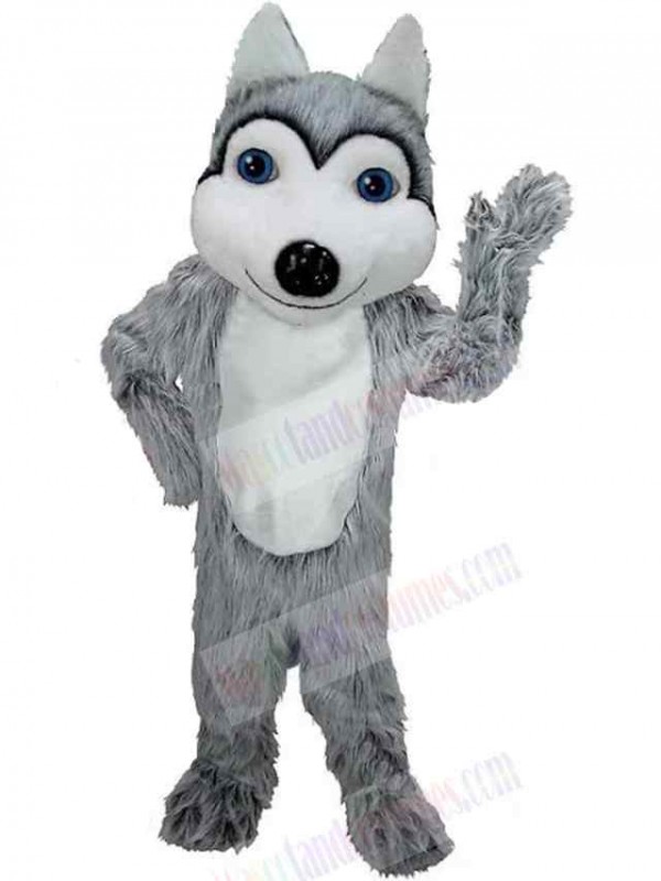 Wolf mascot costume
