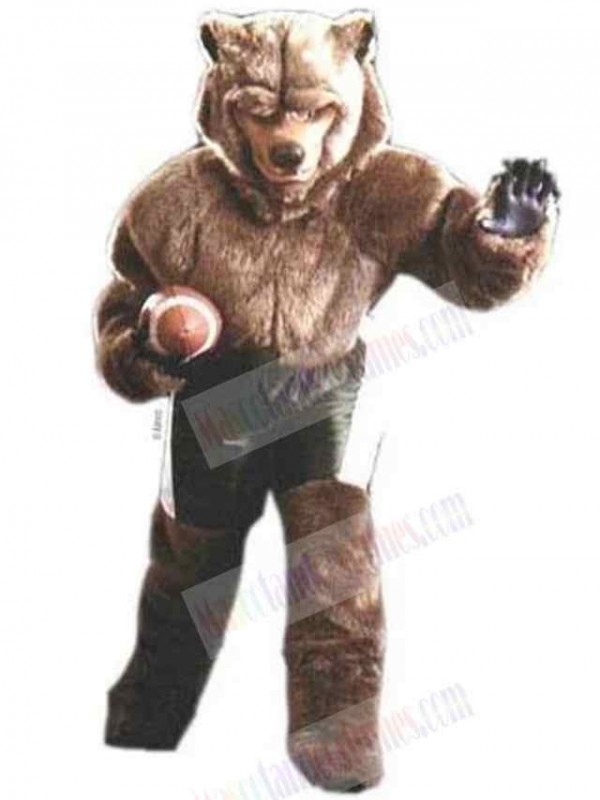 Wolf mascot costume