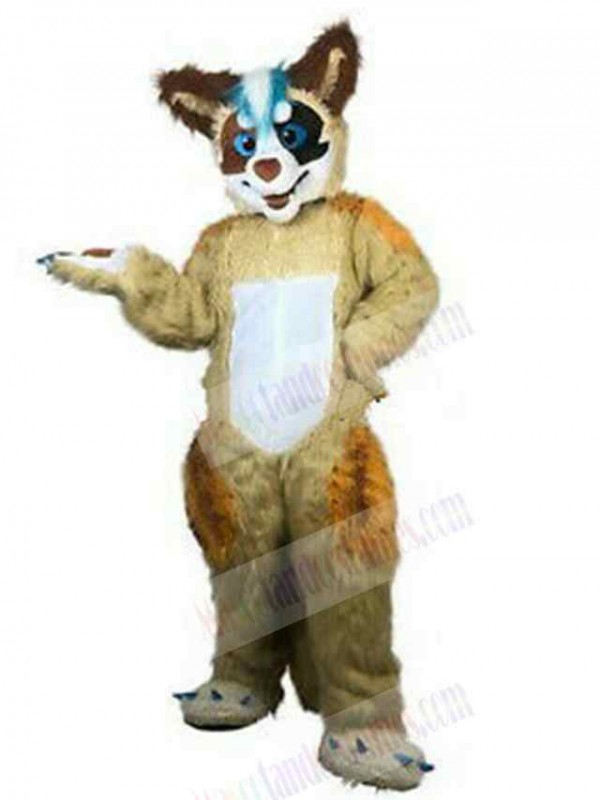 Wolf mascot costume