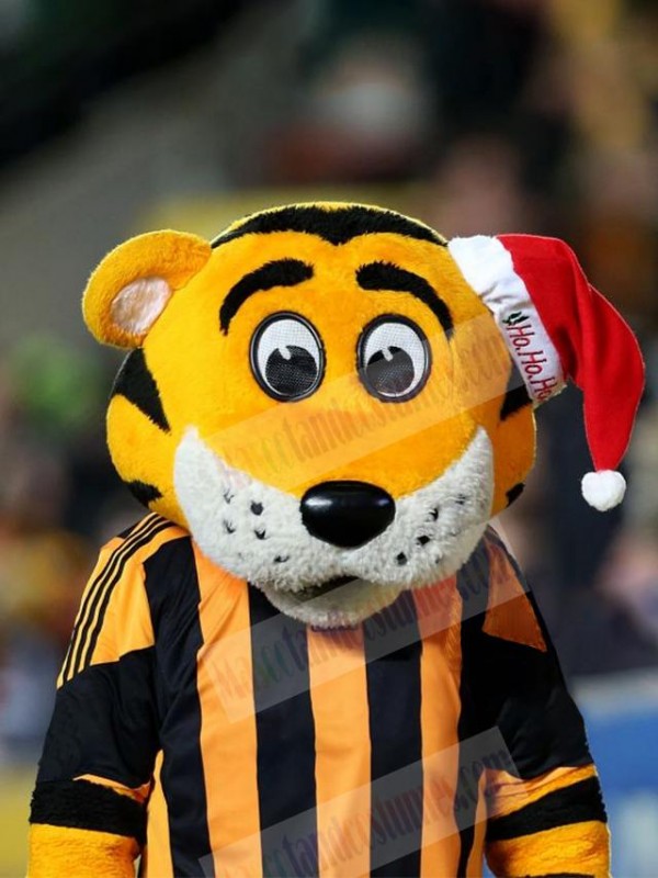 Tiger mascot costume