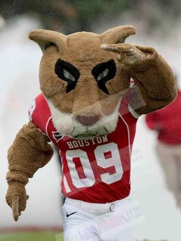 Tiger mascot costume