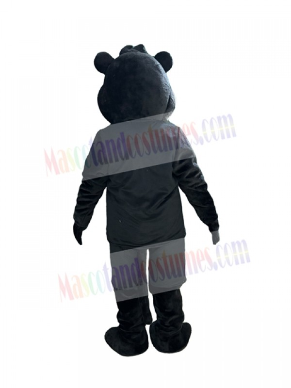 Panther mascot costume