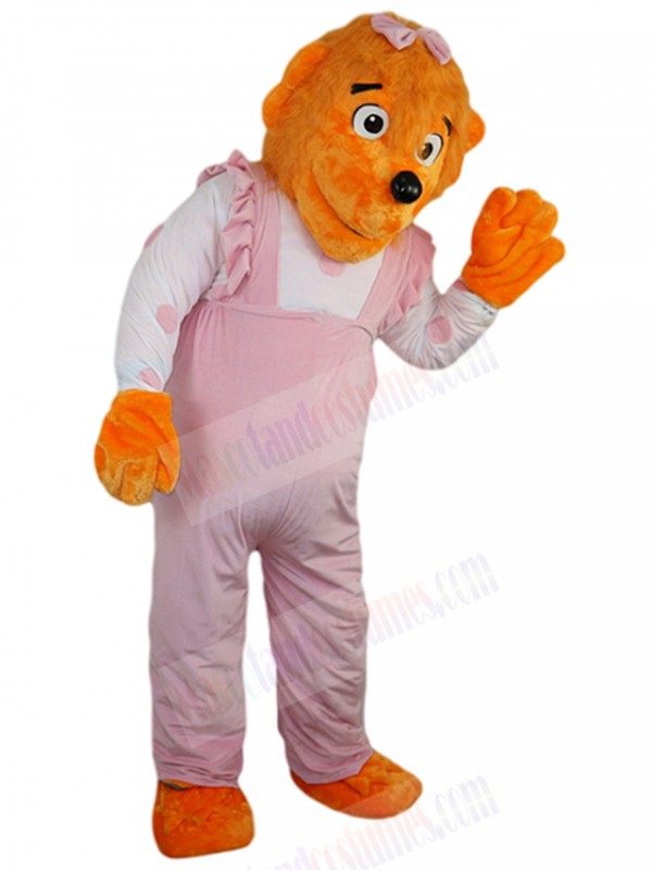 bear mascot costume