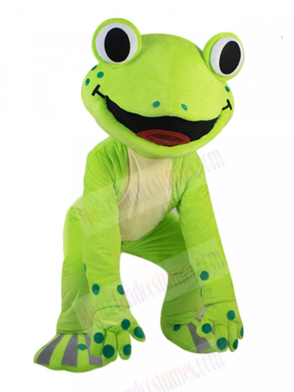 frog mascot costume