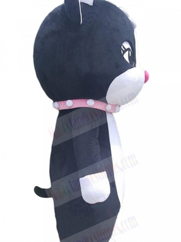 cat mascot costume