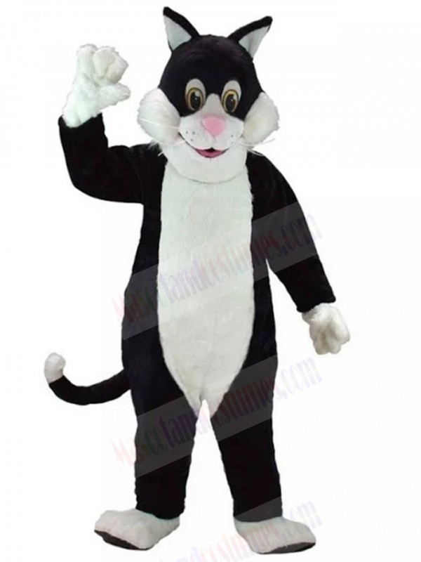 cat mascot costume