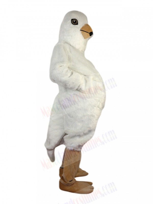 Pigeon mascot costume