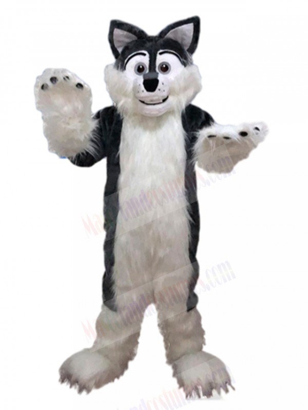 wolf mascot costume