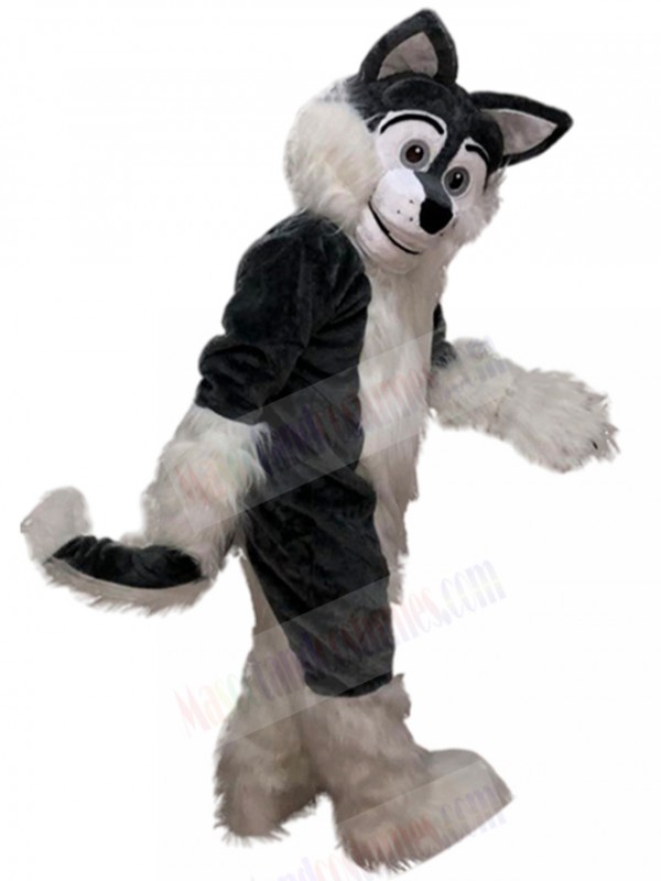 wolf mascot costume