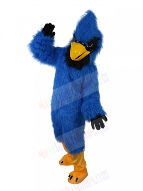 eagle mascot costume