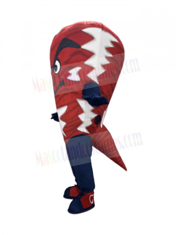 Tornado Typhoon mascot costume