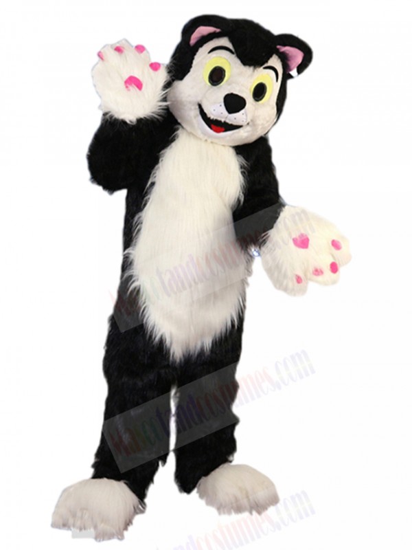 cat mascot costume