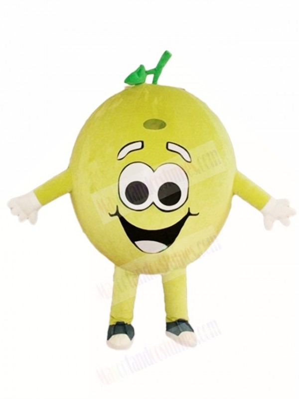 Happy Lemon Lime Mascot Costumes Fruit Plant 