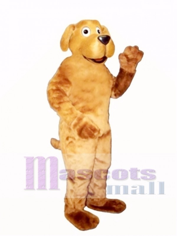 Cute Danny Dog Mascot Costume