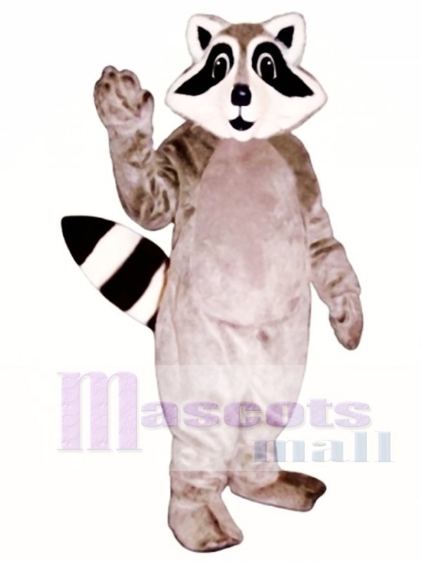 Little Raccoon Mascot Costume