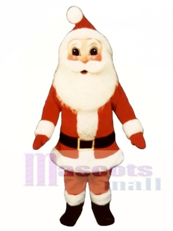 Santa Claus Christmas Mascot Costume