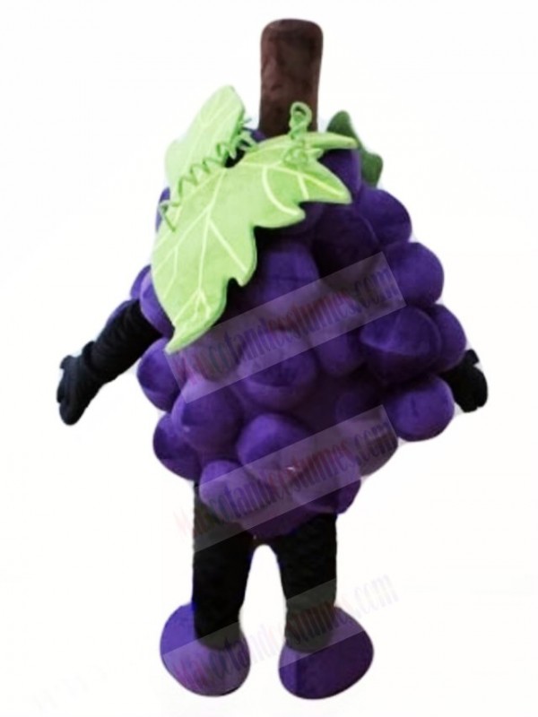 Purple Grape Mascot Costumes Fruit Food Plant