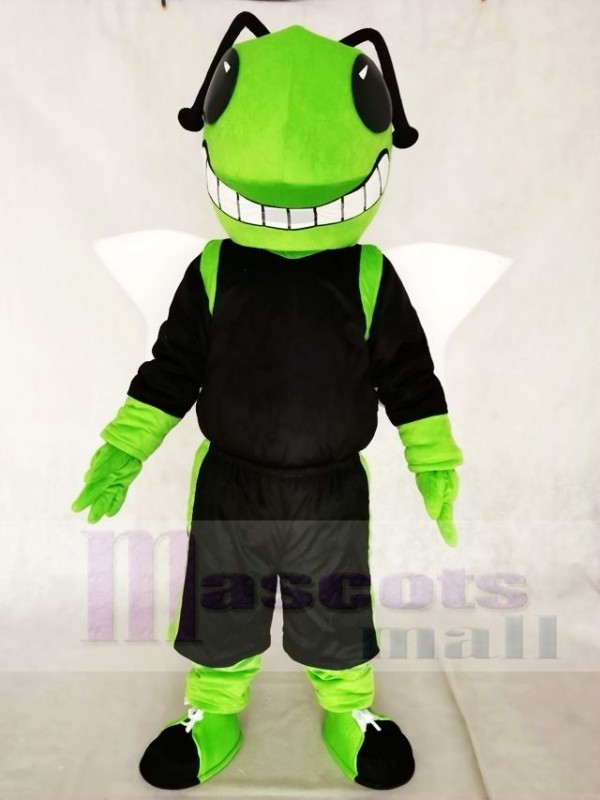Green and Black Hornets Mascot Costumes Insect