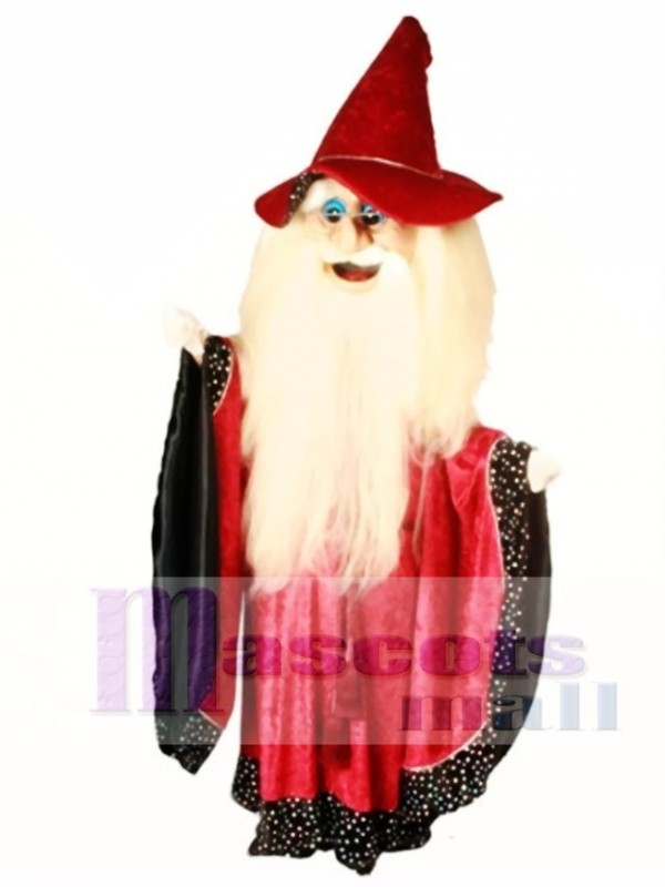 Merlin Wizard Mascot Costume