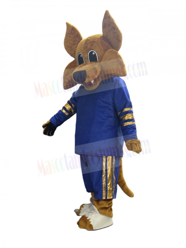 Coyote mascot costume
