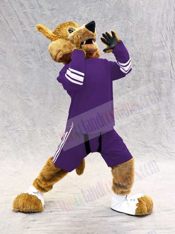 Coyote mascot costume