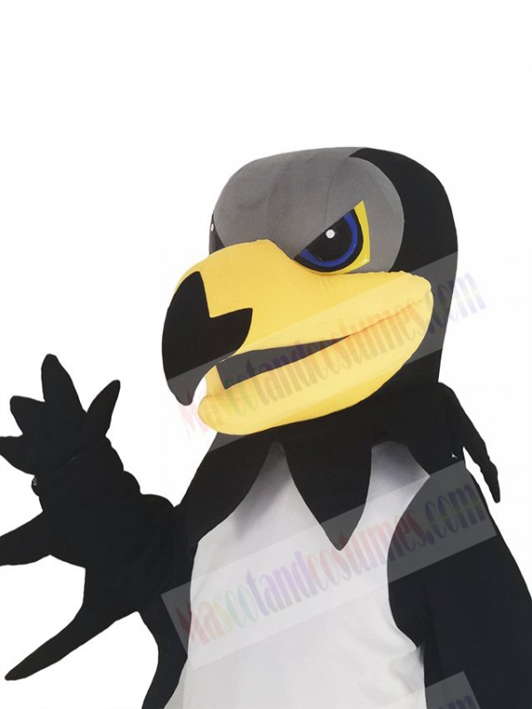 Hawk mascot costume