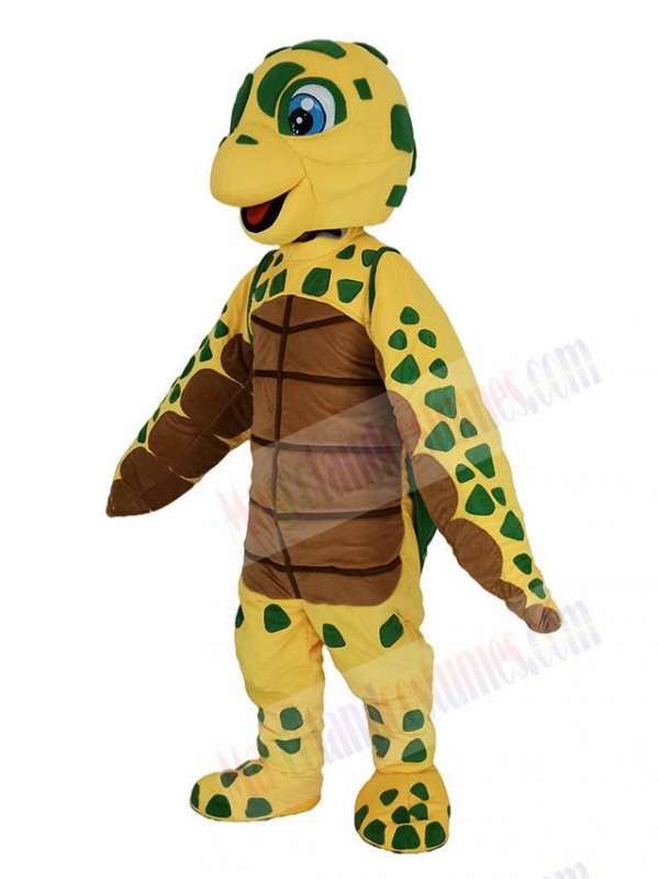 Turtle mascot costume