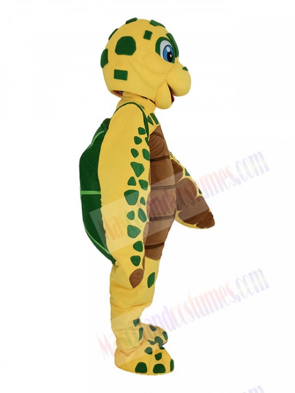 Turtle mascot costume