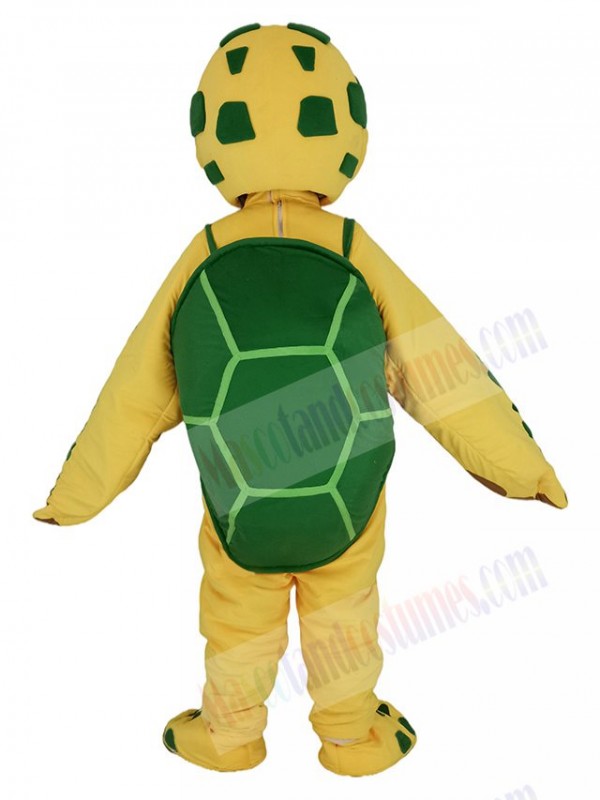 Turtle mascot costume
