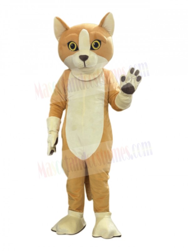 Cat mascot costume