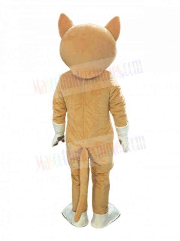 Cat mascot costume