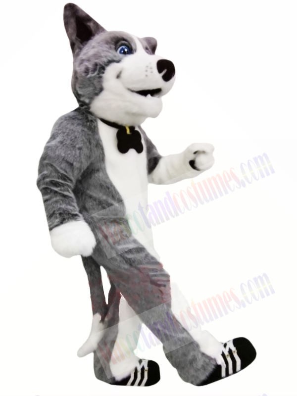 Cute Grey Dog Mascot Costumes