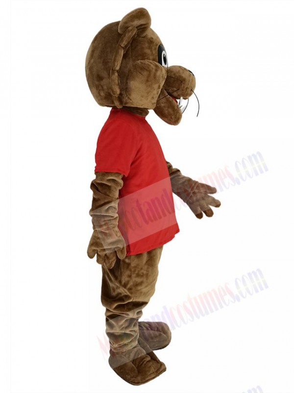 Cougar mascot costume
