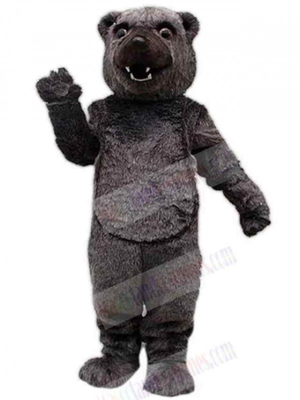 Bear mascot costume