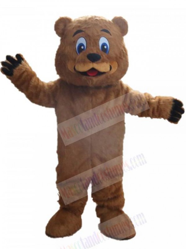 Bear mascot costume
