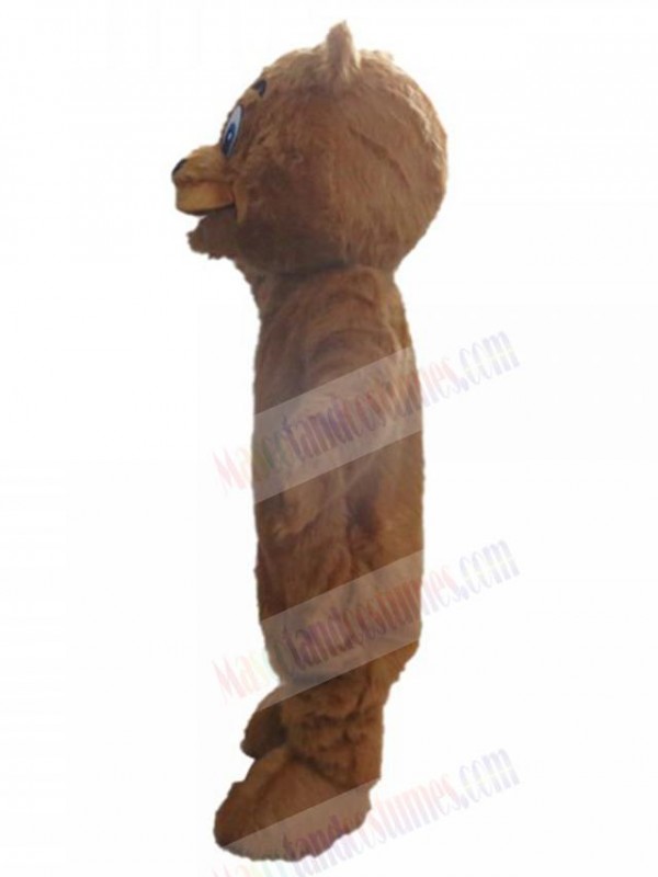 Bear mascot costume