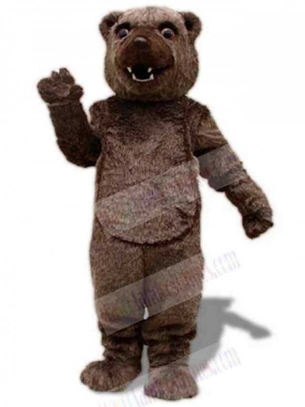 Bear mascot costume