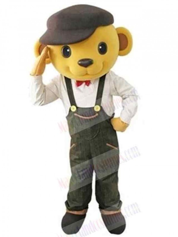 Bear mascot costume