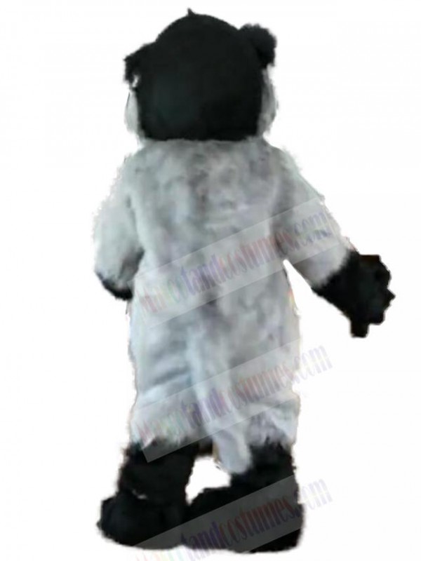 Bear mascot costume